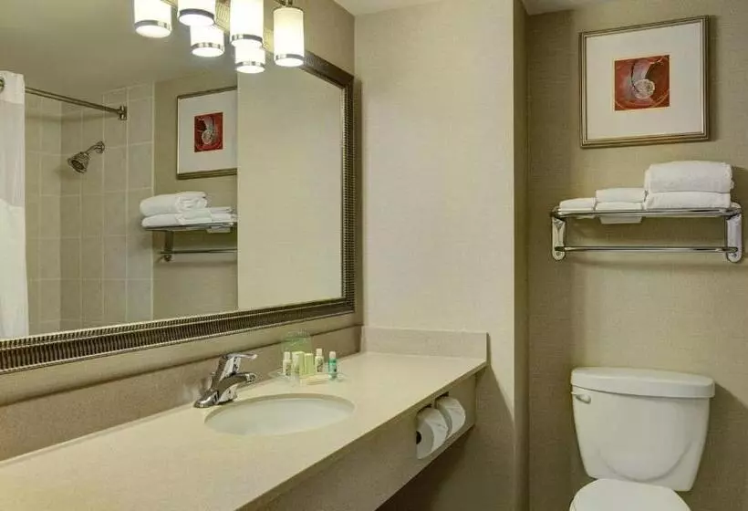 デラックスルーム, Holiday Inn Burlington Hotel & Conference Centre, An Ihg