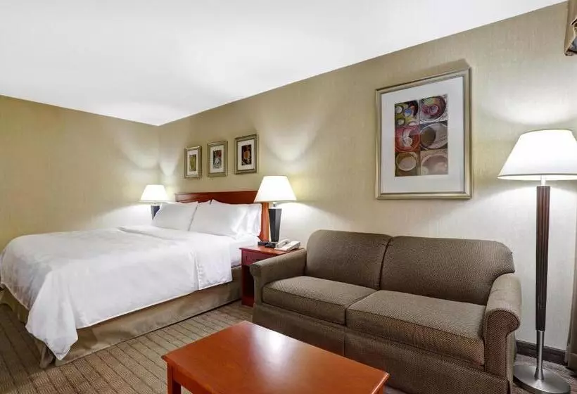 キングサイズベッドのエクゼクティブルーム, Holiday Inn Burlington Hotel & Conference Centre, An Ihg