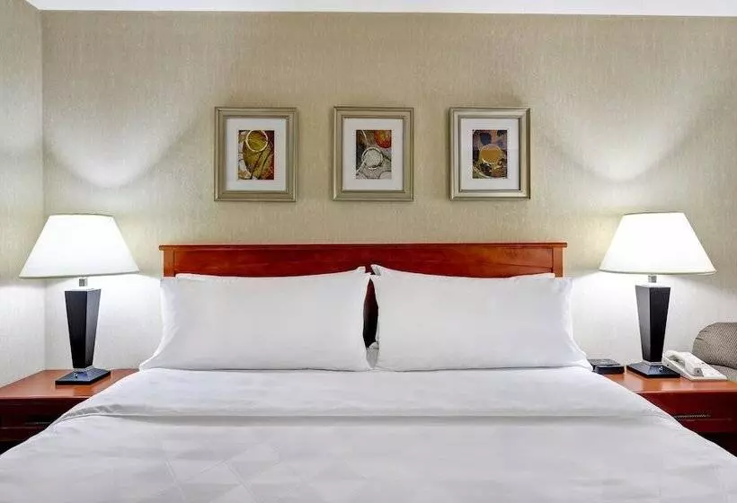 ２ダブルベッドのスタンダードルーム, Holiday Inn Burlington Hotel & Conference Centre, An Ihg