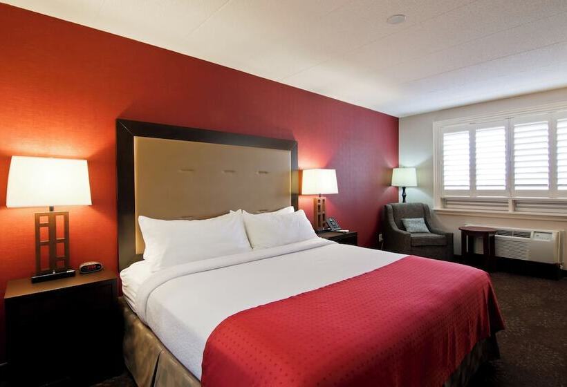 غرفة قياسية, Holiday Inn Hotel & Suites St.catharines-niagara, An Ihg