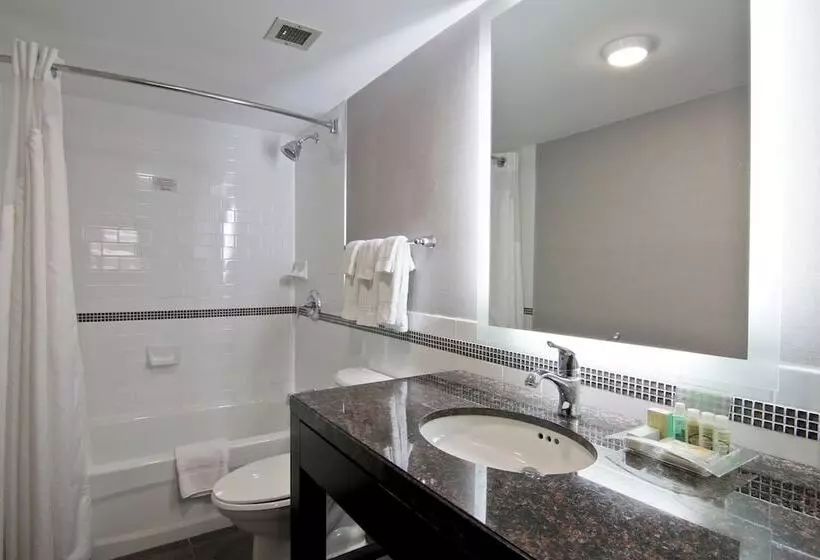 スイート, Holiday Inn Hotel & Suites St.catharines-niagara, An Ihg