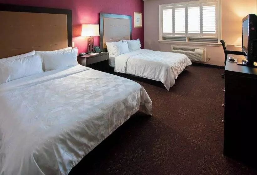 スイート, Holiday Inn Hotel & Suites St.catharines-niagara, An Ihg