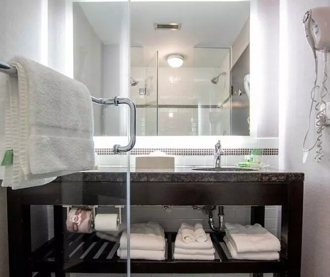 スイート, Holiday Inn Hotel & Suites St.catharines-niagara, An Ihg