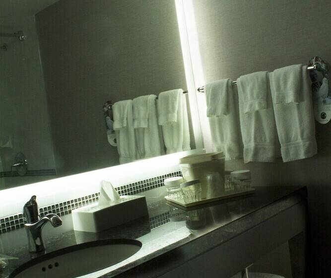 جناح, Holiday Inn Hotel & Suites St.catharines-niagara, An Ihg