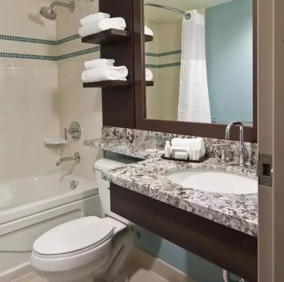 Deluxe-huone King-vuode, Aava Whistler