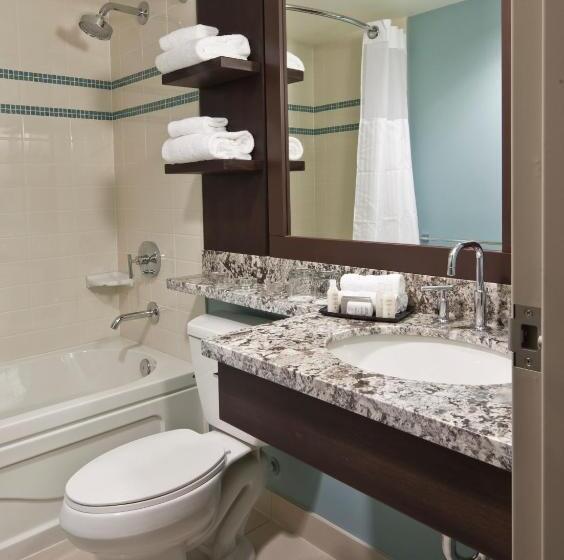 豪华房间, Aava Whistler