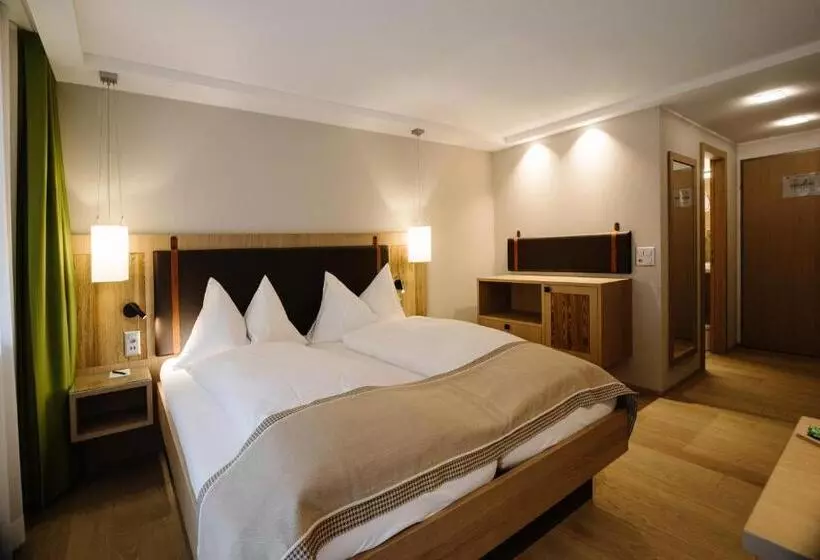 اتاق استاندارد, Adler Adelboden