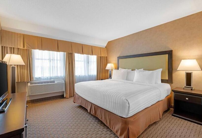 带大床的套房, Best Western Plus Emerald Isle