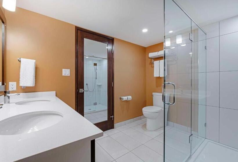 带大床的标准间, Best Western Plus Emerald Isle