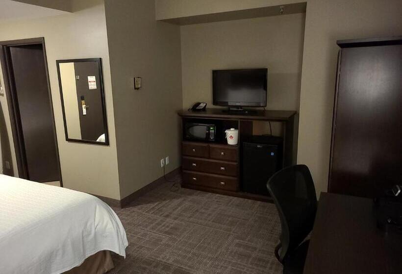 اتاق استاندارد با تخت بزرگ, Canad Inns Destination Centre Portage La Prairie
