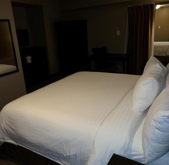 اتاق استاندارد با تخت بزرگ, Canad Inns Destination Centre Portage La Prairie