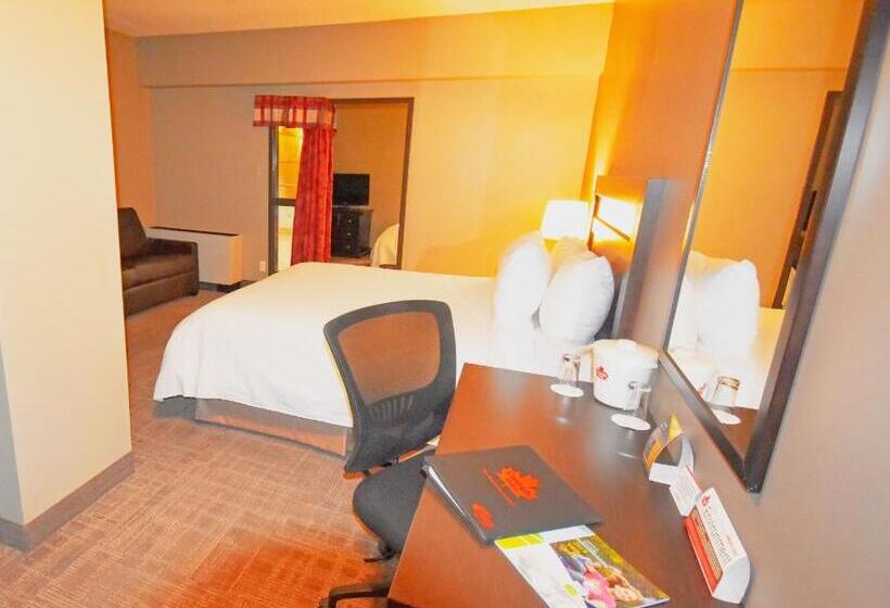 اتاق استاندارد, Canad Inns Destination Centre Portage La Prairie