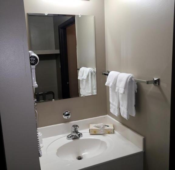 استودیو استاندارد با تخت کینگ, Canad Inns Destination Centre Portage La Prairie