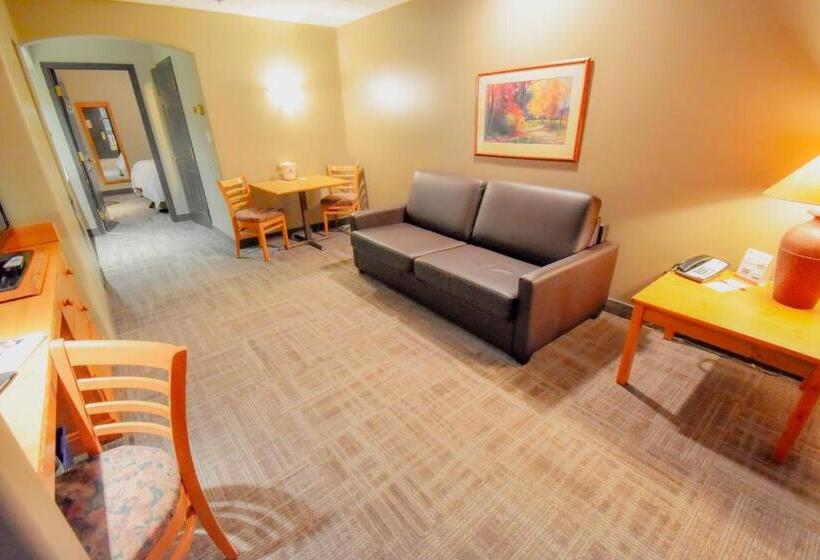 سوئیت با تخت بزرگ, Canad Inns Destination Centre Portage La Prairie