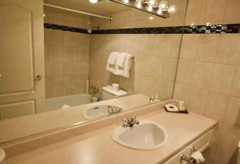 استودیوی استاندارد, Century Plaza