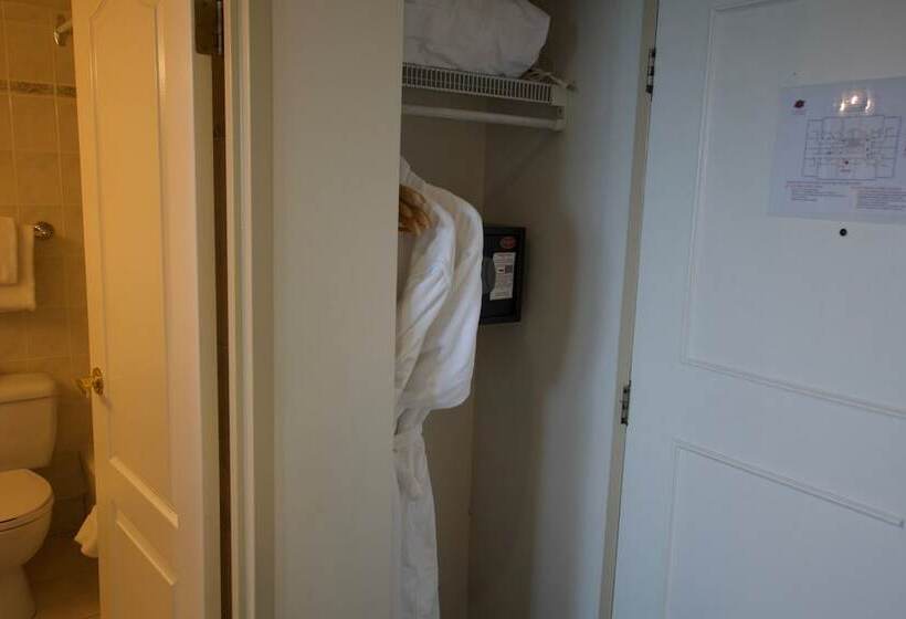 Студия Стандарт, Century Plaza