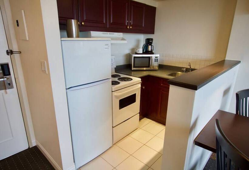 스탠다드 스튜디오, Century Plaza