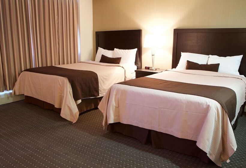 Студия Стандарт, Century Plaza