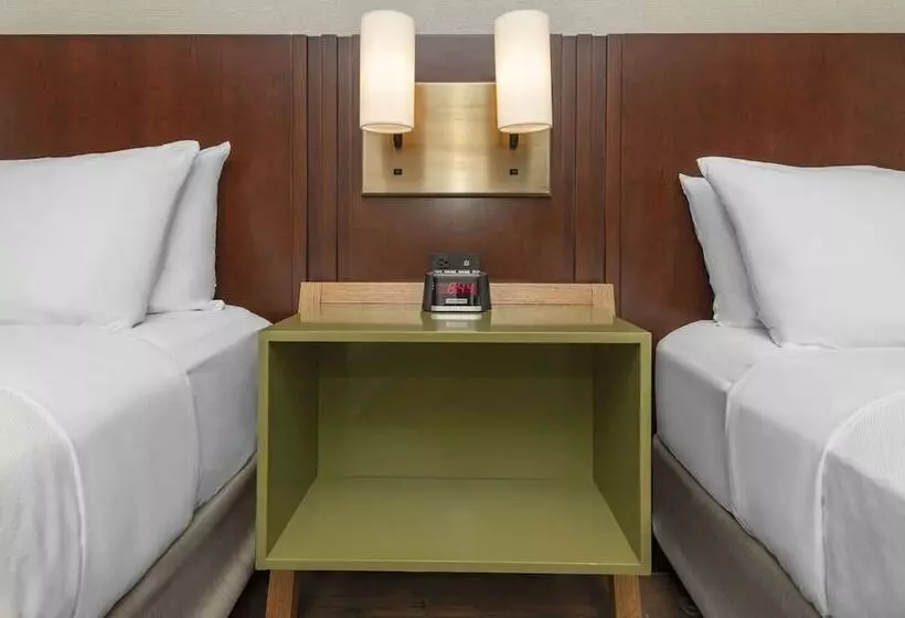 ２ダブルベッドのスタンダードルーム, Comfort Inn