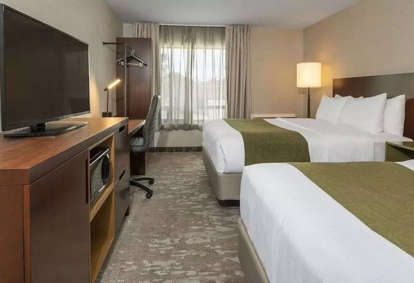 ２ダブルベッドのスタンダードルーム, Comfort Inn