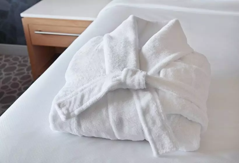 استودیوی استاندارد با تخت دوبل, Delta Hotels By Marriott Calgary Downtown