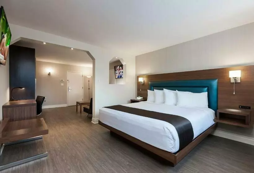 Junior Suite