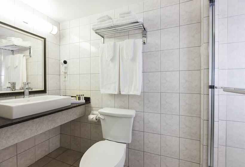 Номер Basic, Espresso Montreal Centre Ville / Downtown