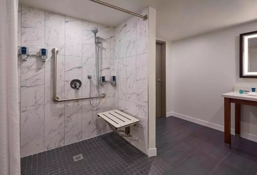 اتاق کلاسیک با تخت دونفره, Four Points By Sheraton Toronto Airport