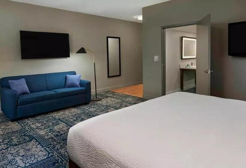 اتاق کلاسیک با تخت دونفره, Four Points By Sheraton Toronto Airport