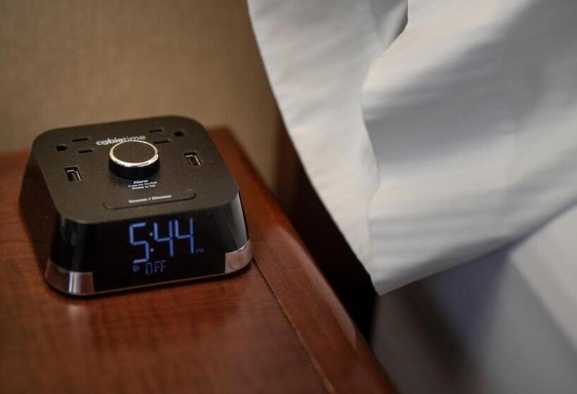 غرفة قياسية سرير كينج, Halifax