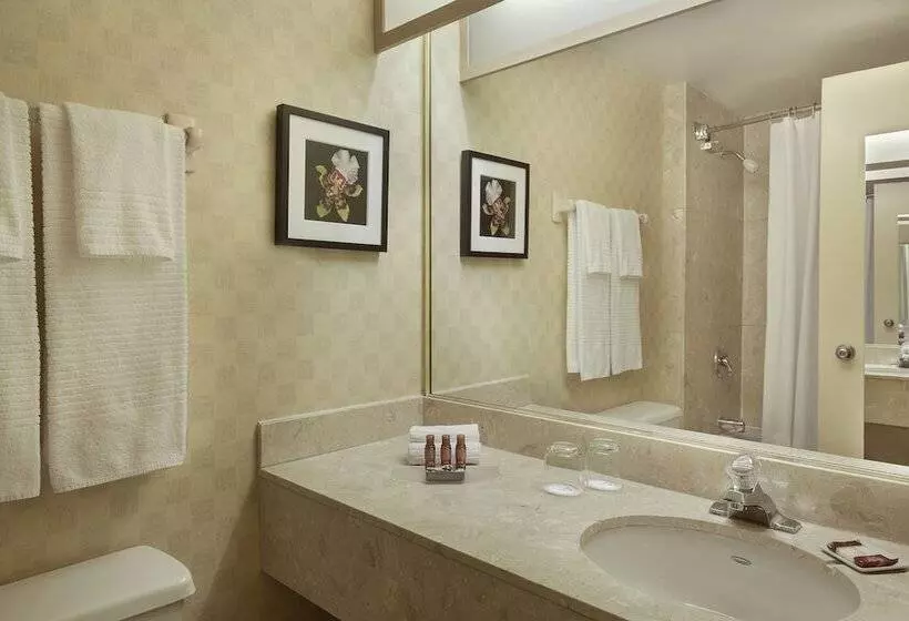 اتاق استاندارد با تخت دوبل و چشم‌انداز, Delta Hotels By Marriott Halifax Downtown