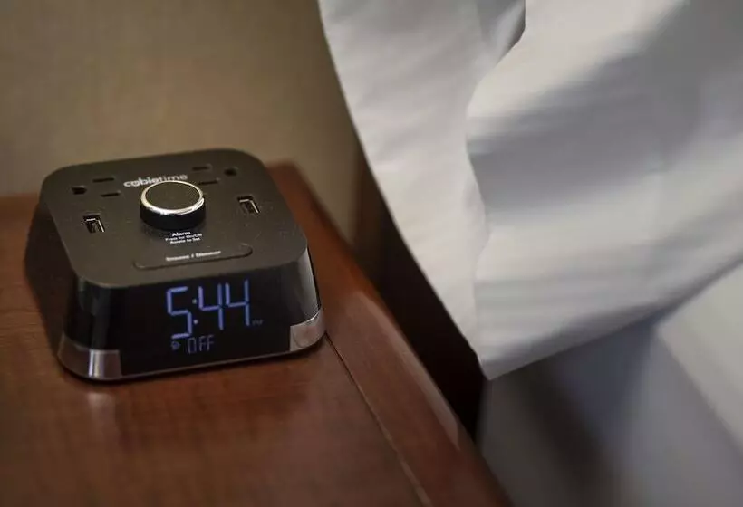 اتاق استاندارد با تخت دوبل و چشم‌انداز, Delta Hotels By Marriott Halifax Downtown