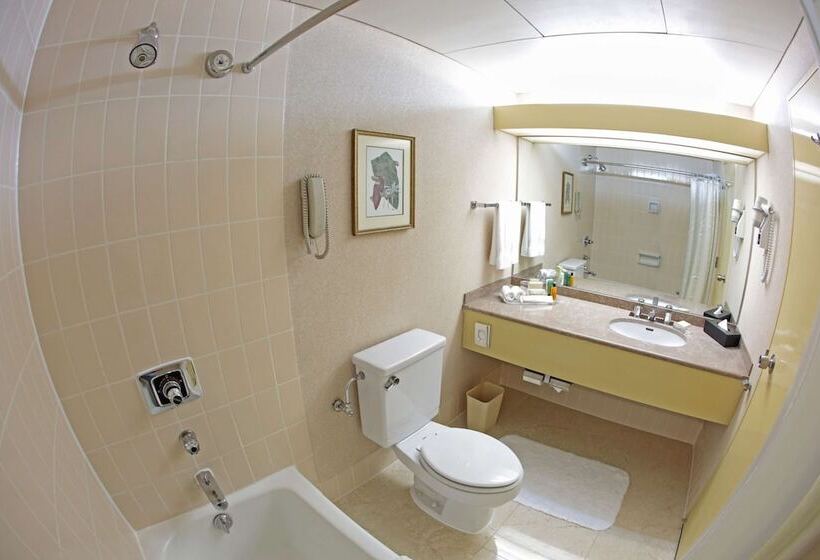 Номер Executive Кровать Кинг, Hilton Colombo