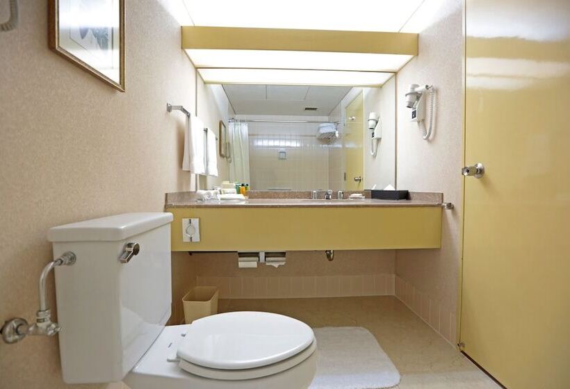 Номер Стандарт, Hilton Colombo