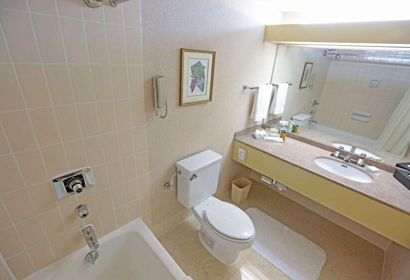 Номер Executive, Hilton Colombo