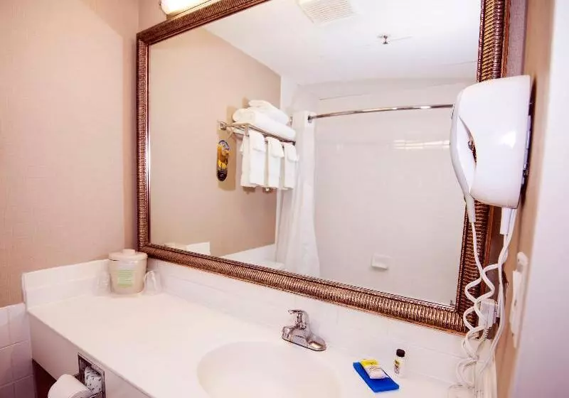 اتاق استاندارد با تخت بزرگ, Holiday Inn Express Red Deer, An Ihg