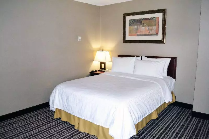 اتاق استاندارد با تخت بزرگ, Holiday Inn Express Red Deer, An Ihg