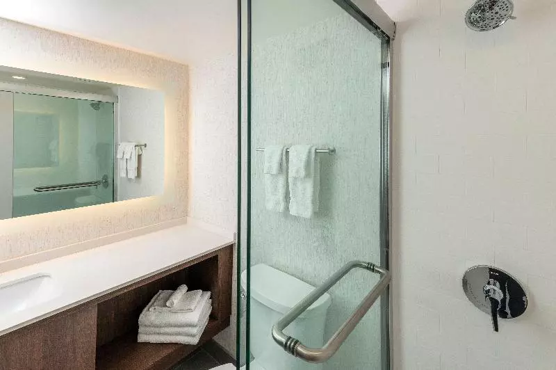 اتاق پرمیوم, Holiday Inn Kingston   Waterfront, An Ihg