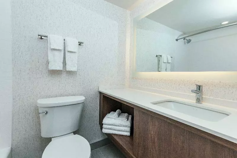 اتاق استاندارد با تخت دو نفره بزرگ, Holiday Inn Kingston   Waterfront, An Ihg
