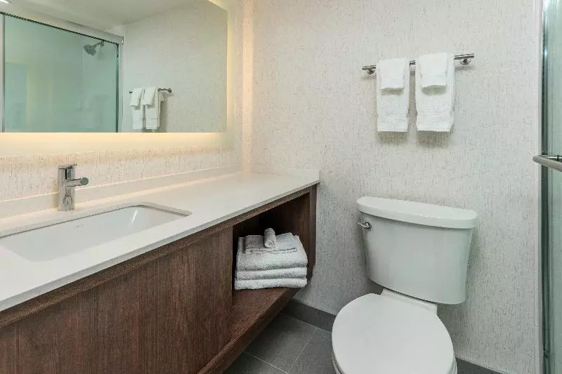 اتاق استاندارد با چشم‌انداز رودخانه, Holiday Inn Kingston   Waterfront, An Ihg