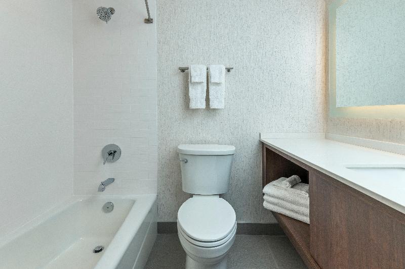 غرفة قياسية سرير ملكى, Holiday Inn Kingston   Waterfront, An Ihg