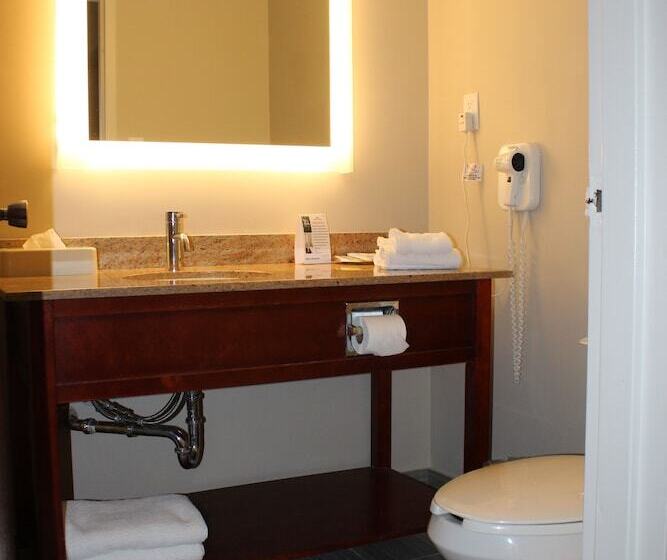 디럭스 룸, Surestay Plus By Best Western Windsor