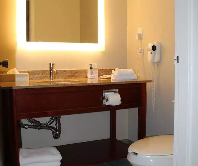 اتاق لوکس, Surestay Plus By Best Western Windsor