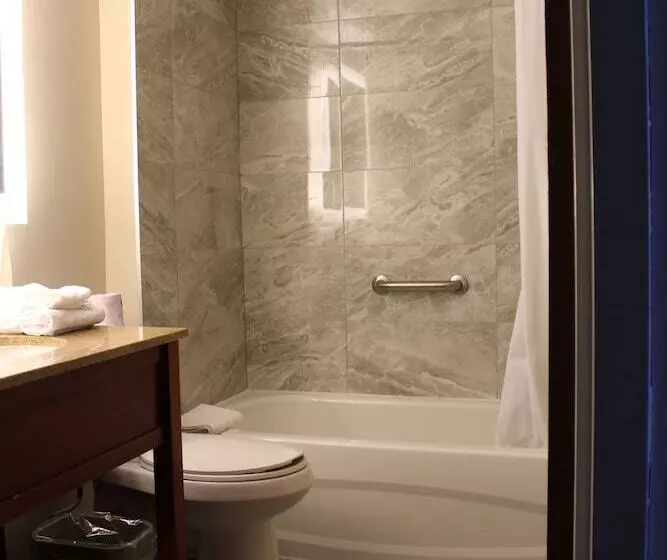 استودیوی استاندارد, Surestay Plus By Best Western Windsor