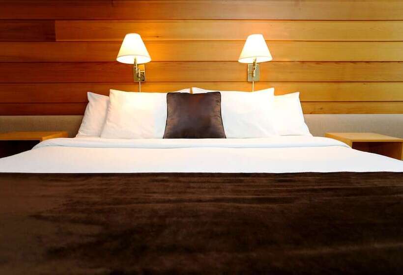 חדר ביזנס, Hôtels Gouverneur Rimouski