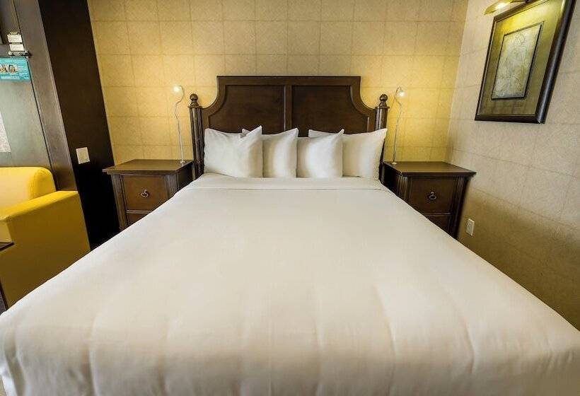 חדר סטנדרט מותאם לאדם עם מוגבלויות, Lhotelquébec