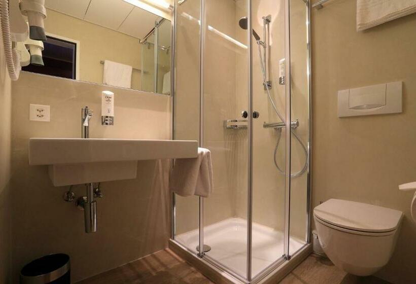 اتاق استاندارد با چشمانداز دریاچه, New Elvezia