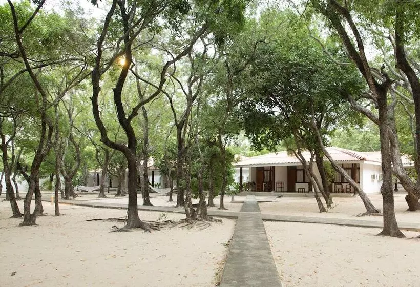 Standard-huone, Nilaveli Beach