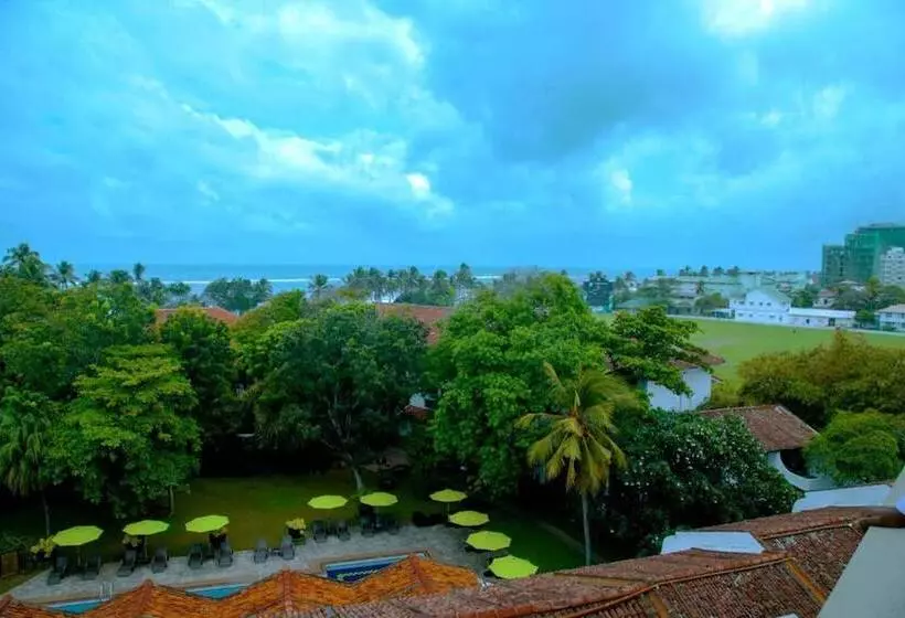 デラックストリプルルーム, Palms, Mount Lavinia