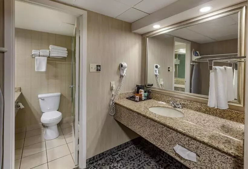 身障者適用スイートルーム, Quality Inn & Conference Centre